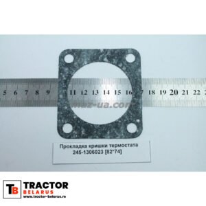 Garnitura capacului de termostat MTZ